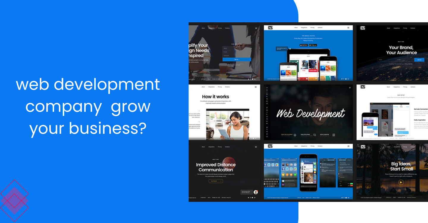 You are currently viewing How Can a Web Development Company Help to Grow Your Business?